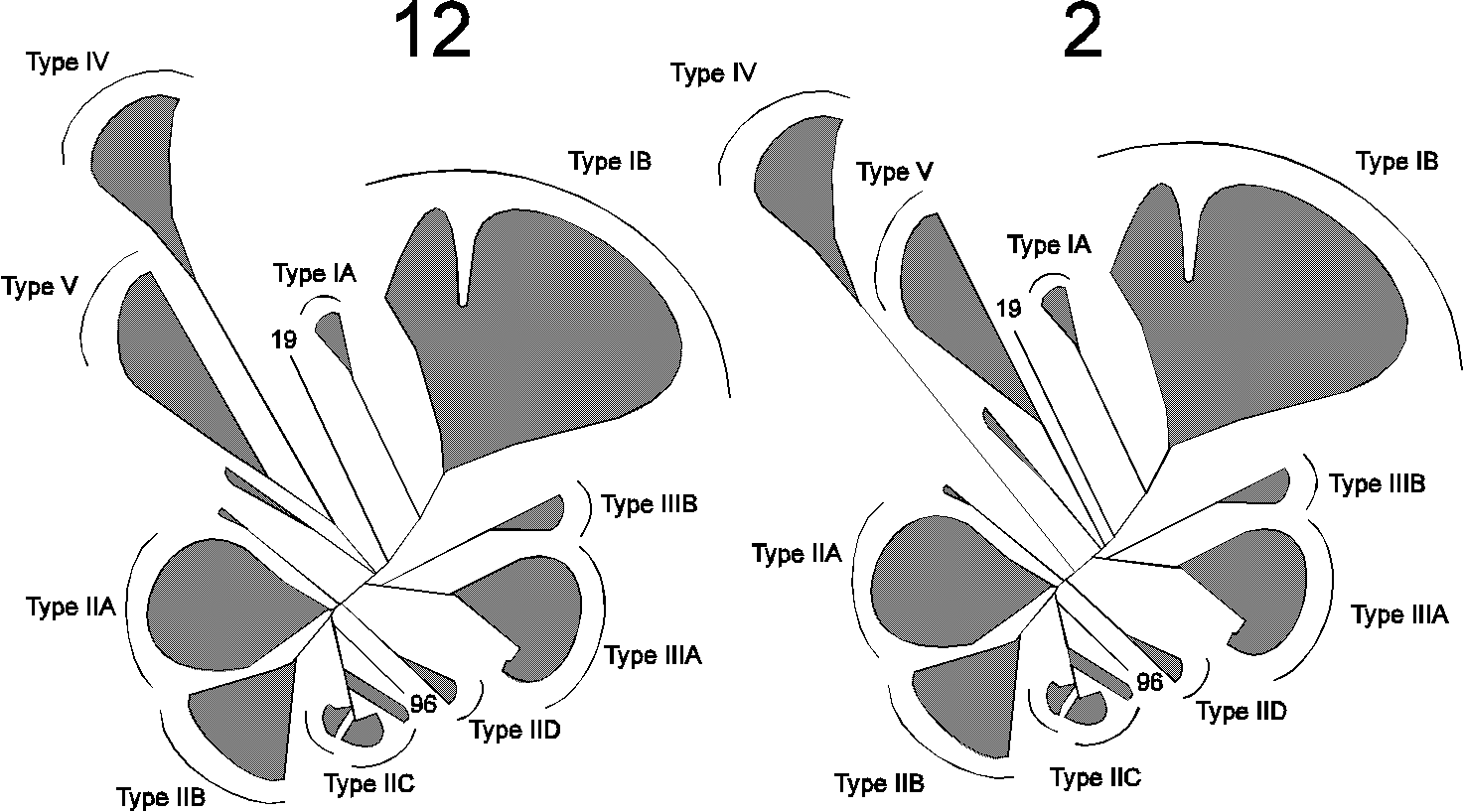 Two different phylogenetic trees